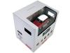 Kyosho Mini-Z LIT Morris Mini Cooper 1275S ML-010 ReadySet - Red